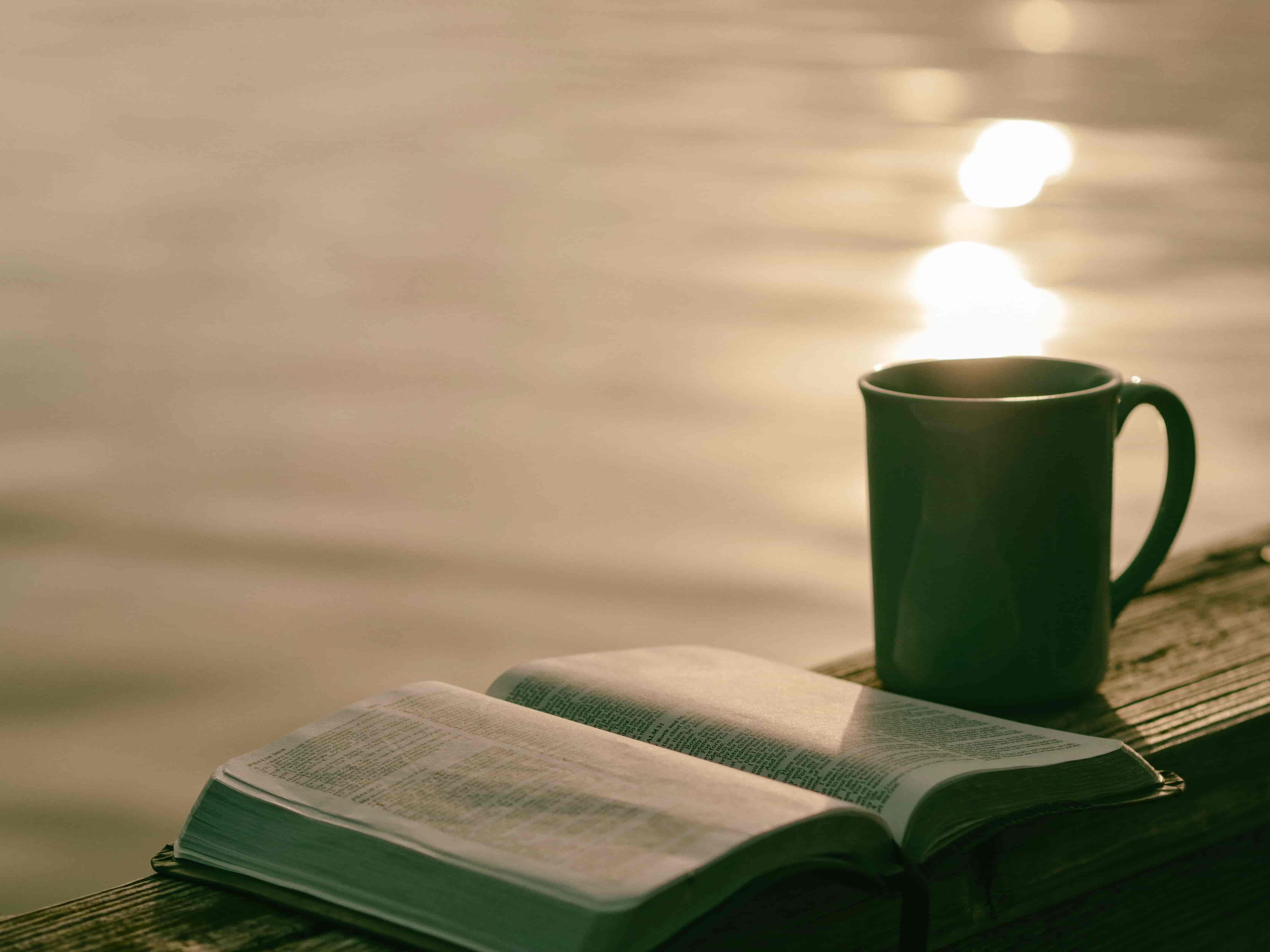 Online-book-publisher